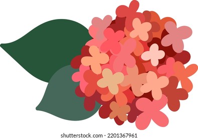 Ixora flower. Hand-drawn bright flower with green leaves. 