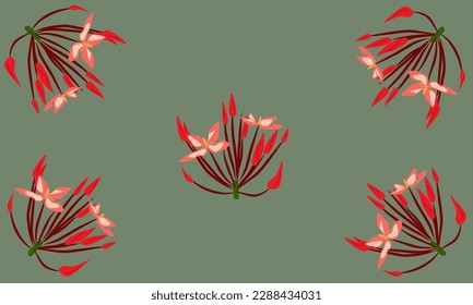 ilustración vectorial de flores ixora o también llamada flor de soka buena para el diseño de papel tapiz, etc