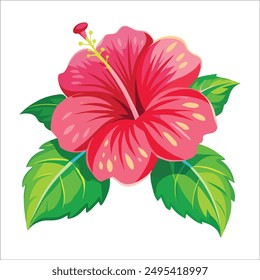 A jaba flower with four leaves