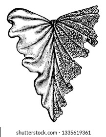 Jabot is a clothing accessory that is worn right below the collar, vintage line drawing or engraving illustration.
