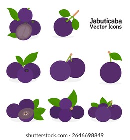 Jabuticaba Different Styles Vector Bundle Illustration. Colorful Jabuticaba Icons And Graphics Shutter Stock