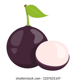 Jabuticaba tropical fruit vector isolated. Exotic berry, juicy product. Sweet raw dessert jaboticaba, slice of a berry, fresh pulp.
