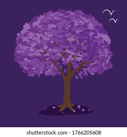 Jacaranda Tree on a Dark Purple Background