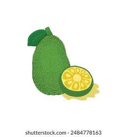 Jack Fruit Drawing with Cartoon Style