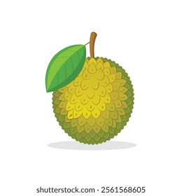 
Jack Fruit fruit isolated flat vector illustration on white background