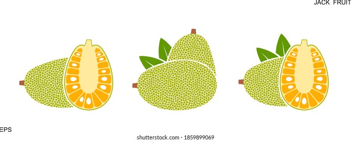 Jack Fruit Logo. Isolated Jack Fruit On White Background