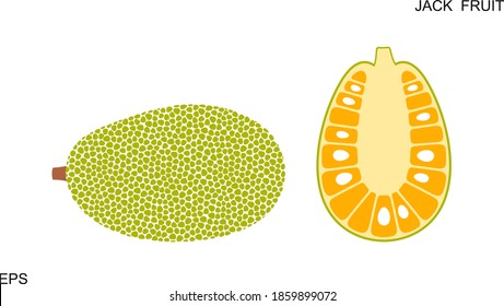 Logo de Jack frutal. Fruto de gato aislado sobre fondo blanco