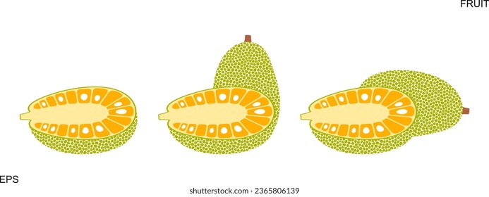 Logo de Jack frutal. Fruto de gato aislado sobre fondo blanco