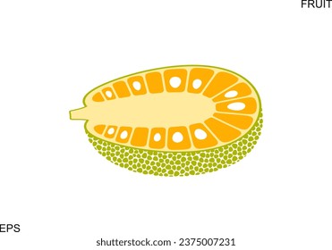 Jack fruit logo. Isolated jack fruit on white background