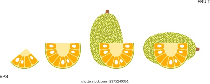 Jack-Fruchtlogo. Einzige Jakobsfrucht auf weißem Hintergrund