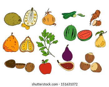 jack fruit onion zucchini yam uglifruit coriander fig watermelon quince walnut apple nut isolated illustration vector