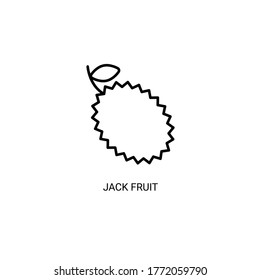 Jack fruit simple thin line icon vector illustration