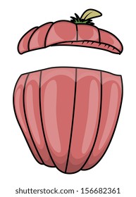 jack o' lantern - Halloween vector illustration