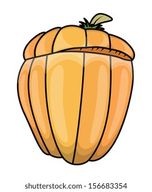 jack o' lantern pumpkin - Halloween vector illustration