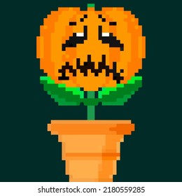 Jack olantern Halloween flower. Have a scary Halloween Upset