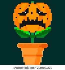 Jack olantern Halloween flower. Have a scary Halloween very upset