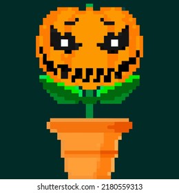 Jack olantern Halloween flower. Have a scary Halloween does not understand what is happening