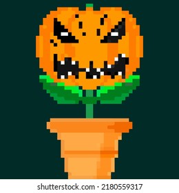 Jack olantern Halloween flower. Have a scary Halloween vampire