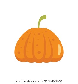 Jack pumpkin icon. Flat illustration of jack pumpkin vector icon isolated on white background