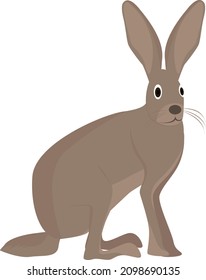 Jack Rabbit, Illustration, Vector On A White Background.