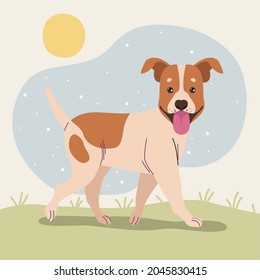 jack russel en el personaje del campamento