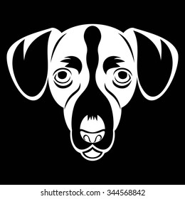 Jack russel dog