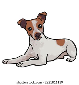 Jack Russel Dog Colored Drawing