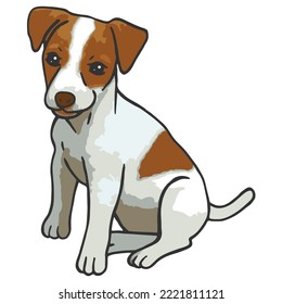 Jack Russel Dog Colored Drawing