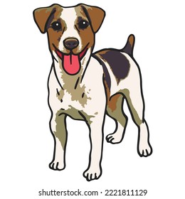 Jack Russel Dog Colored Drawing