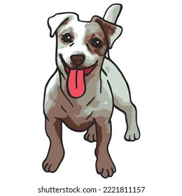 Jack Russel Dog Colored Drawing