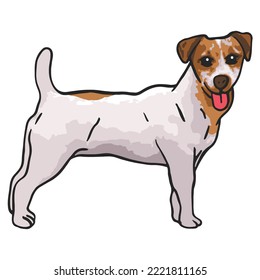 Jack Russel Dog Colored Drawing