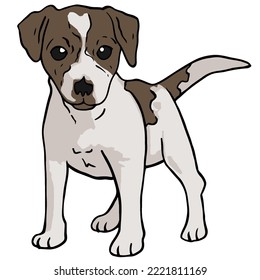 Jack Russel Dog Colored Drawing