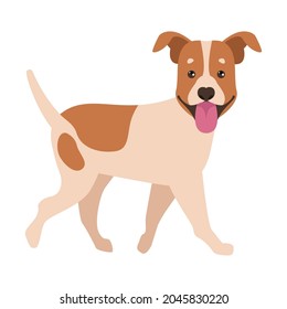 jack russel pet character domestic icon