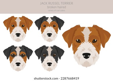 Jack Russel aterrador en diferentes poses y colores de abrigo. Cubierta lisa y pelo roto.  Ilustración del vector