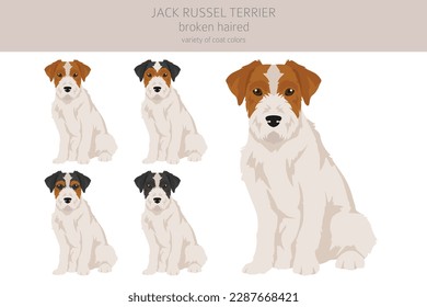 Jack Russel aterrador en diferentes poses y colores de abrigo. Cubierta lisa y pelo roto.  Ilustración del vector