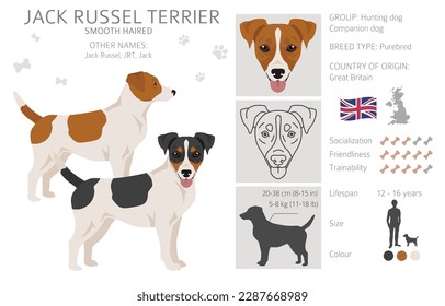 Jack Russel aterrador en diferentes poses y colores de abrigo. Cubierta lisa y pelo roto.  Ilustración del vector