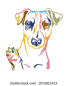 Jack russel terrier dog color contour portrait. Dog head in front view vector illustration isolated on white. For decor, design, print, poster, postcard, sticker, t-shirt,cricut, tattoo and embroidery