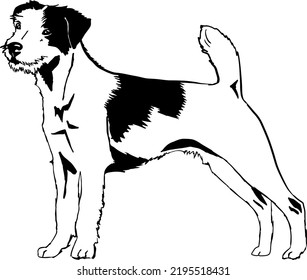 Silueta vectorial de dibujo de Jack Russel Terrier