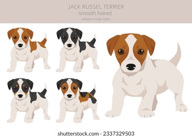 Jack Russel terrier puppies in different poses and coat colors. Smooth coat and broken haired.  Vector illustration