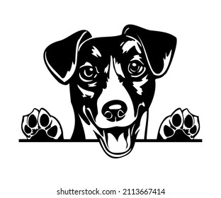 Jack russel terrier - vector para camisetas, logotipo y placas de plantilla