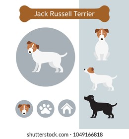 Jack Russell Dog Breed Infographic, Illustration, Front and Side View, Icon