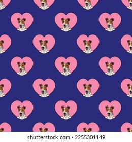 Jack Russell dog with paws pattern, Valentine's day heart wallpaper. Love heart with pet head holiday texture. Dog face Holding Heart Cartoon square background. St Valentine's day present paper.