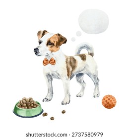 Jack Russell dog standing next to a food bowl and a red ball. Hand drawn watercolor illustration. Vector clip art for postcards, food labels and toys. Suitable for banners for grooming salons.