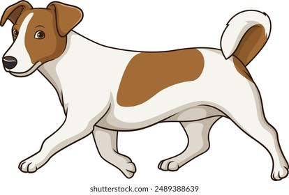 Jack Russell Hundegang Vektorillustration