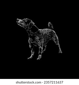 jack russell, vector de dibujo a mano aislado en fondo negro.