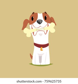 Jack russell puppy character with bone in its mouth, cute funny terrier vector illustration