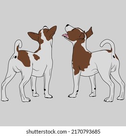 Jack Russell Set Vector Art, Hunting Dogs Vector For T shirt design, Stock Illustration