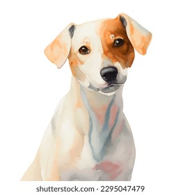 jack russell with style hand drawn watercolor digital painting illustration