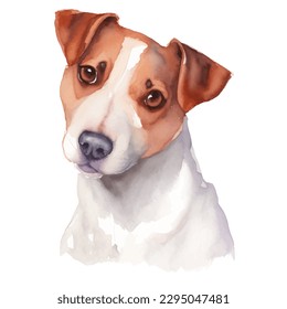 jack russell with style hand drawn watercolor digital painting illustration