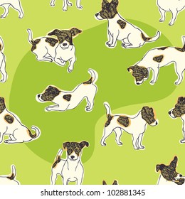 Jack Russell Terrier background